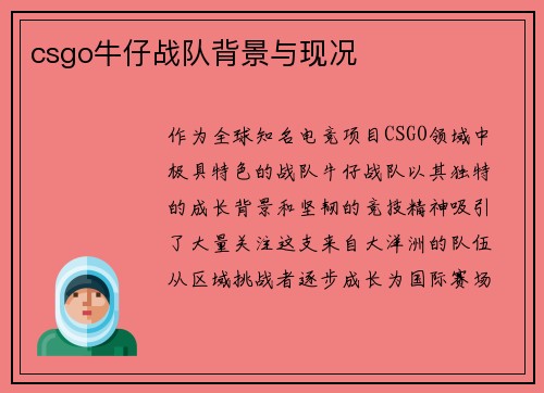 csgo牛仔战队背景与现况